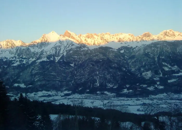 Schwendihof 아파트 *