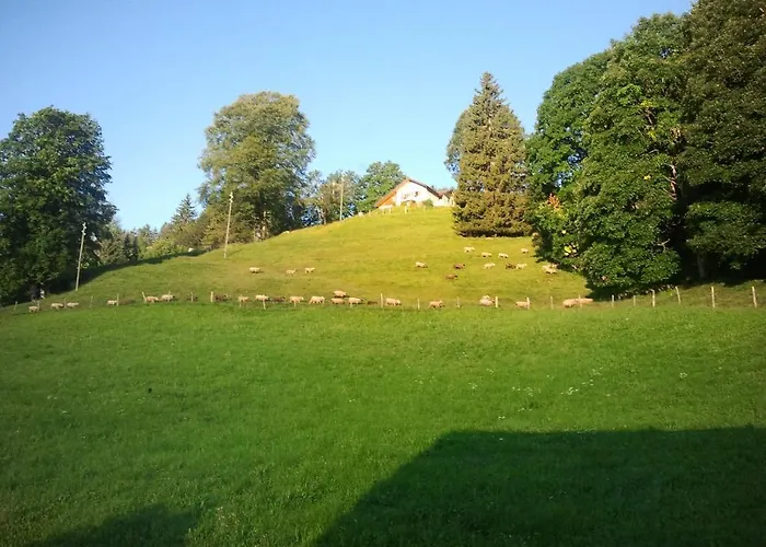 Schwendihof * 플럼스버그