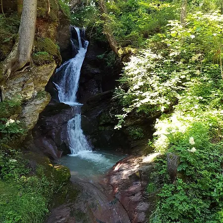 Апартаменты Schwendihof Флумзерберг